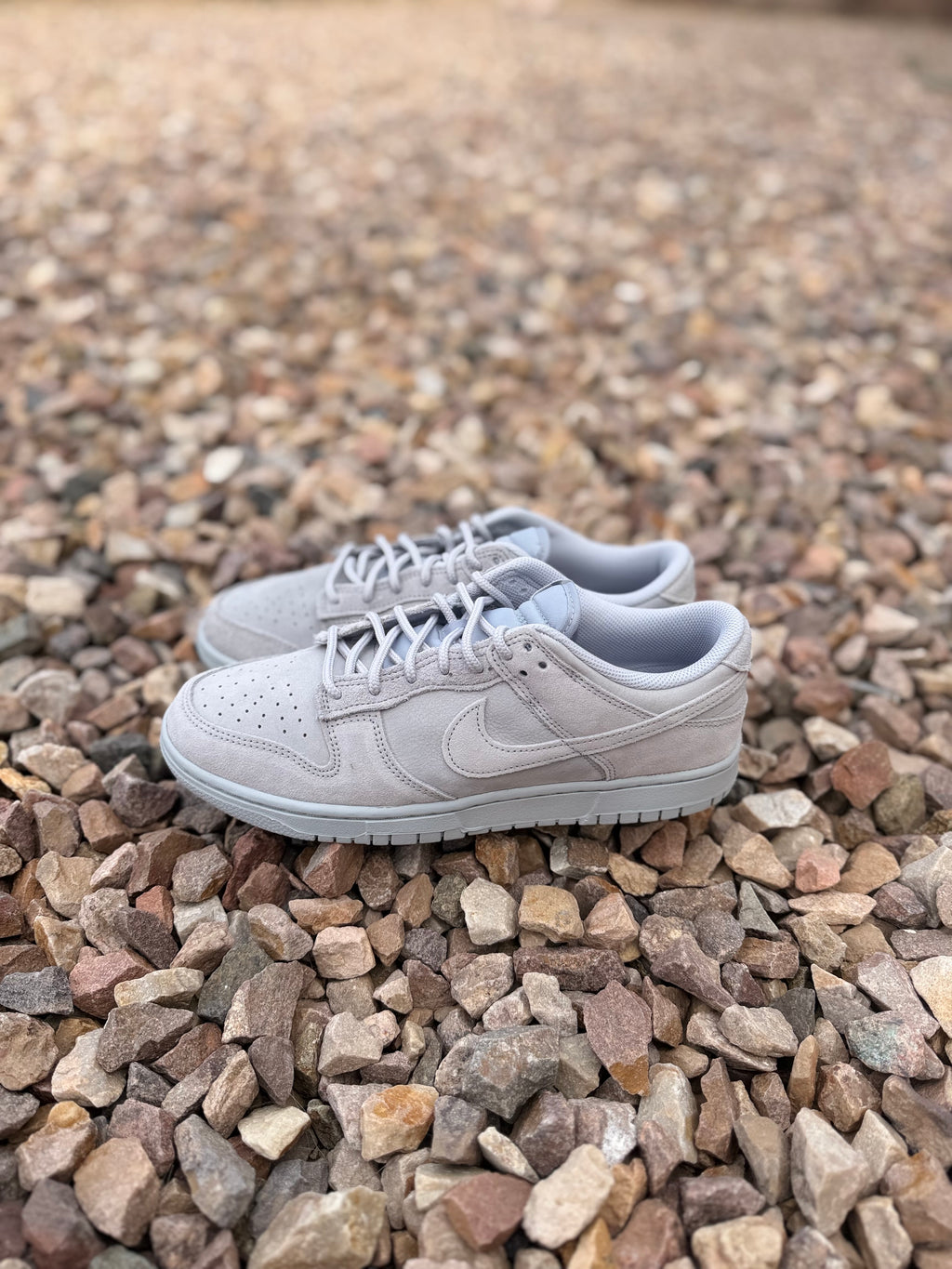 Nike Dunk Low Retro SE Nubuck " Wolf Grey"