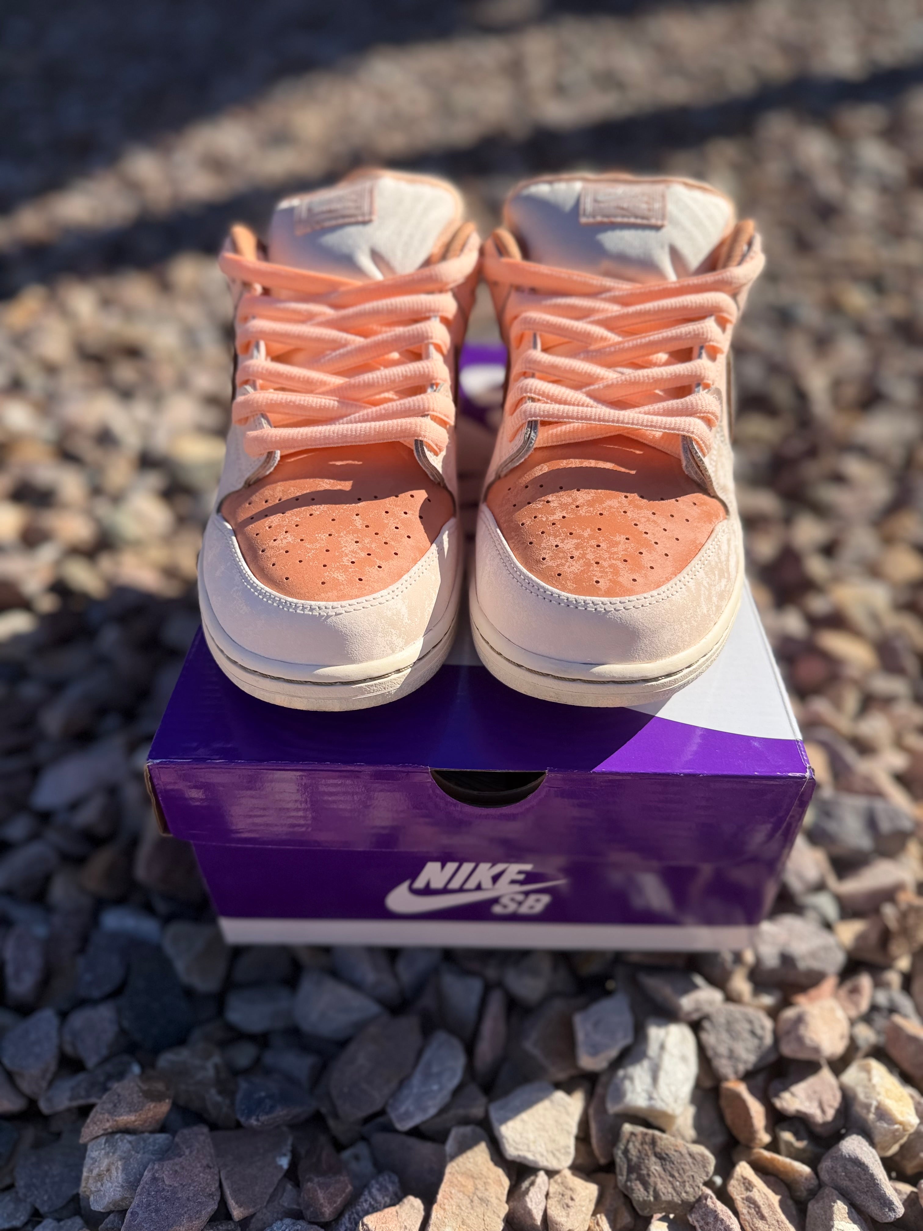 Nike SB Dunk Low “Trocadéro Gardens”