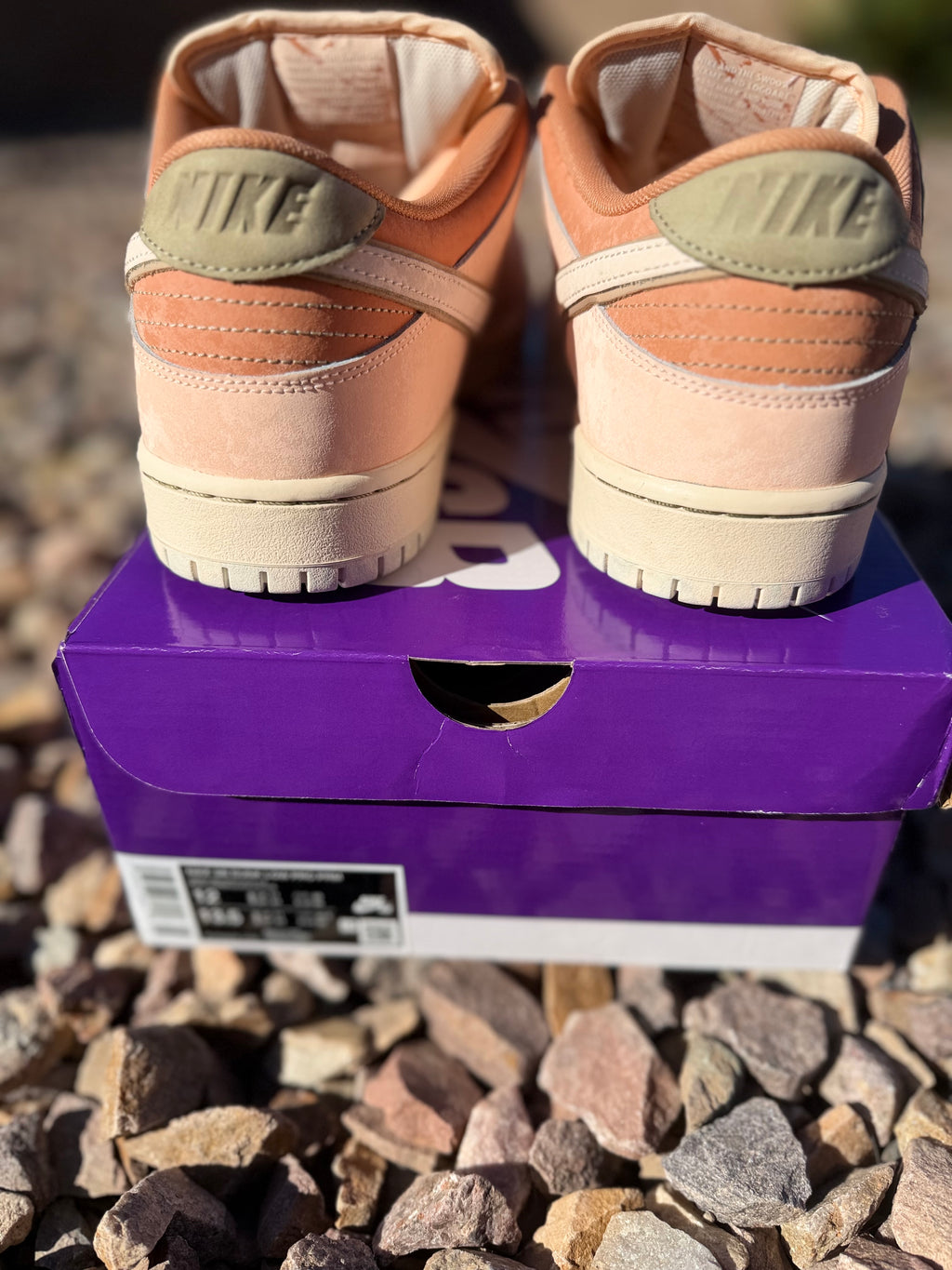 Nike SB Dunk Low “Trocadéro Gardens”