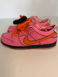Nike SB " Powerpuff Girls"